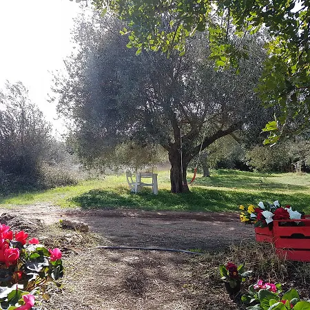 Domos Jana Holiday home Orosei